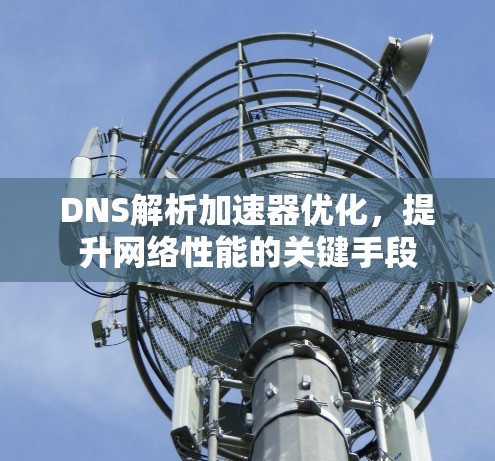 DNS解析加速器优化，提升网络性能的关键手段
