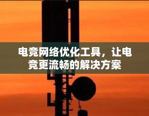 电竞网络优化工具，让电竞更流畅的解决方案