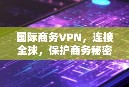 国际商务VPN,连接全球,保护商务秘密