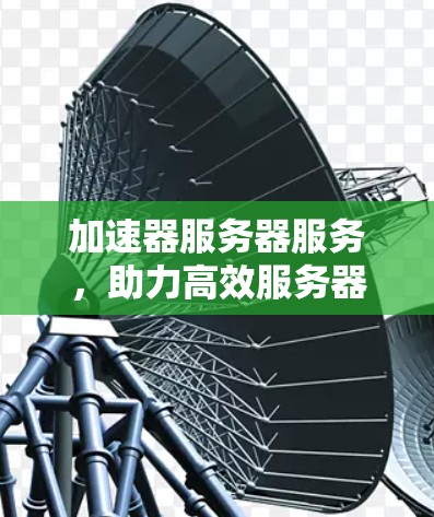 加速器服务器服务,助力高效服务器性能