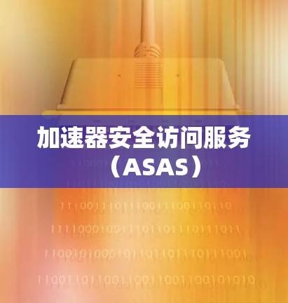 加速器安全访问服务(ASAS)