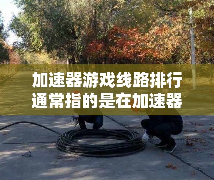 加速器游戏线路排行通常指的是在加速器中,各个游戏的连接情况(线路)的排名。具体来说,可能是玩家数量、连接速度、流量等指标来评估每个线路上的游戏连接情况。以下是可能的排名数据和分析