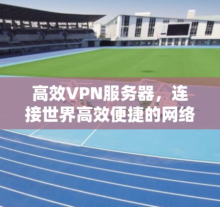 高效VPN服务器，连接世界高效便捷的网络基础设施
