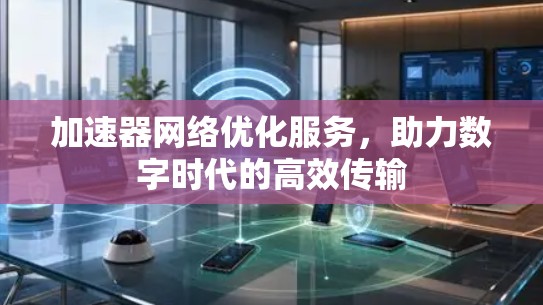 加速器网络优化服务,助力数字时代的高效传输