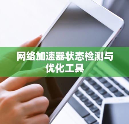 网络加速器状态检测与优化工具
