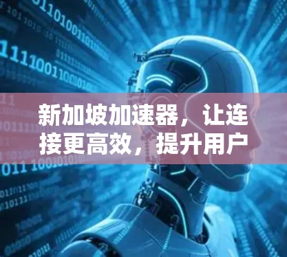 新加坡加速器,让连接更高效,提升用户体验