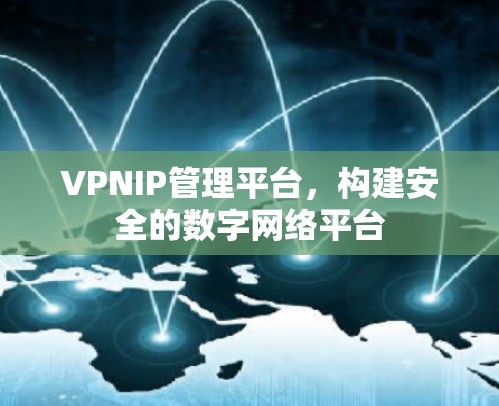 VPNIP管理平台，构建安全的数字网络平台