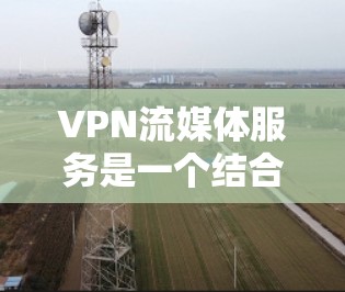 VPN流媒体服务是一个结合VPN技术和流媒体平台的解决方案,旨在为用户提供在线观看的高刷新率和丰富的内容。以下是关于VPN流媒体服务的详细信息