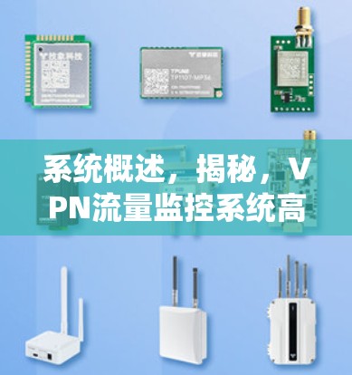 系统概述，揭秘，VPN流量监控系统高效监测，保护隐私