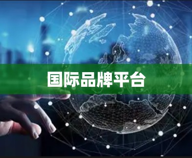 国际品牌平台