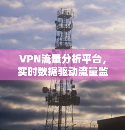 VPN流量分析平台,实时数据驱动流量监控与优化 VPN流量分析平台,实时数据驱动流量监控与优化