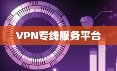 VPN专线服务平台