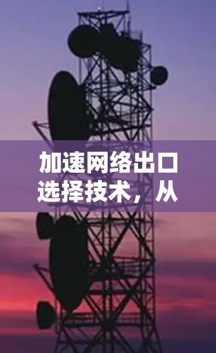 加速网络出口选择技术,从基础到应用
