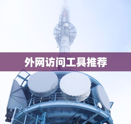 外网访问工具推荐