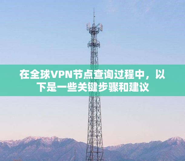 在全球VPN节点查询过程中，以下是一些关键步骤和建议