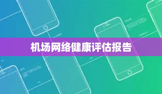 机场网络健康评估报告