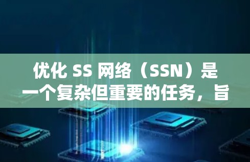 优化 SS 网络（SSN）是一个复杂但重要的任务，旨在提升系统的性能、安全性、可扩展性和响应速度。以下是一个系统的优化方案，涵盖了从架构设计到测试优化的多个阶段