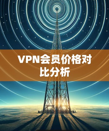 VPN会员价格对比分析