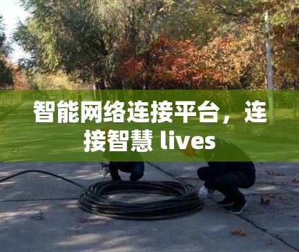 智能网络连接平台，连接智慧 lives