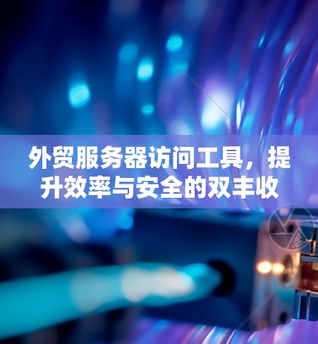 外贸服务器访问工具,提升效率与安全的双丰收
