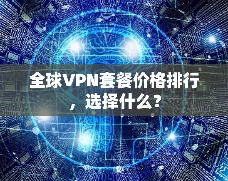 全球VPN套餐价格排行,选择什么?