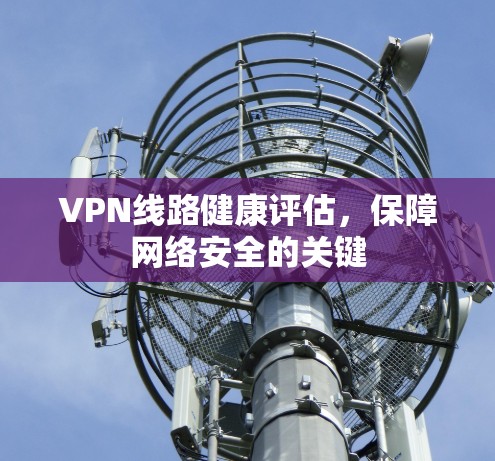 VPN线路健康评估，保障网络安全的关键