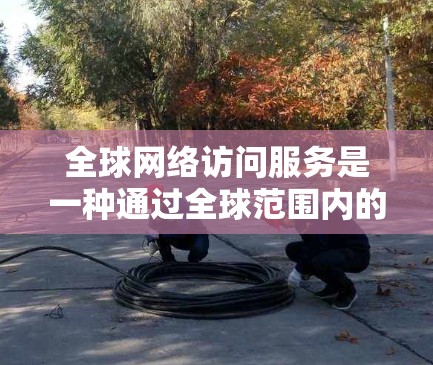 全球网络访问服务是一种通过全球范围内的网络连接，实现从外部访问计算机网络的技术。以下是该领域的详细分析
