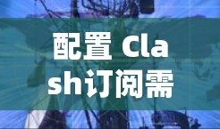 配置 Clash订阅需要按照步骤逐步进行，但可能需要更多的信息和指导，尤其是每个步骤的具体功能和可能的选项。以下是详细的建议