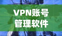 VPN账号管理软件如Snyk、VidPress和OpenVPN在保护数据和安全方面起到了关键作用。以下是对这些软件的详细介绍和使用技巧 VPN账号管理软件如Snyk、VidPress和OpenVPN在保护数据和安全方面起到了关键作用。以下是对这些软件的详细介绍和使用技巧