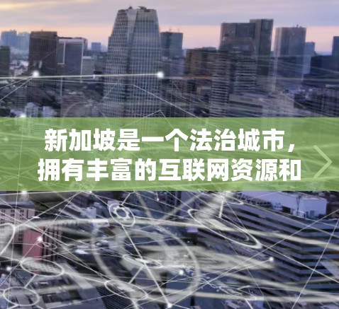 新加坡是一个法治城市，拥有丰富的互联网资源和丰富的VPN服务。以下是一些新加坡本地和国际的VPN服务，供您参考