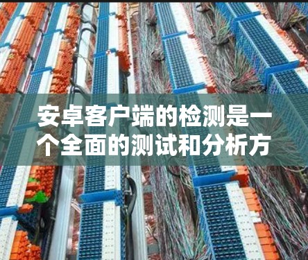 安卓客户端的检测是一个全面的测试和分析方法,可以帮助开发者确认应用是否正确运行在手机上。以下是对安卓客户端检测的详细步骤和建议