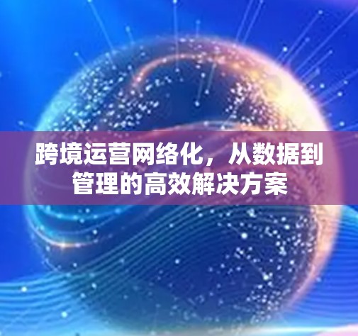 跨境运营网络化，从数据到管理的高效解决方案