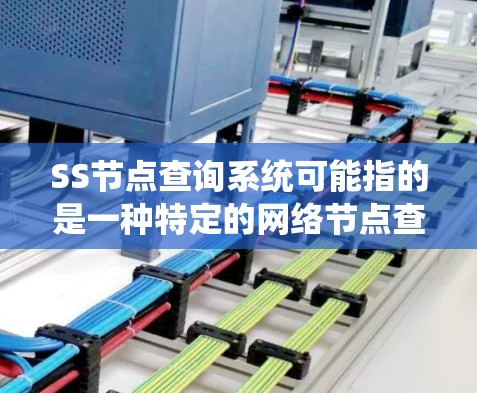 SS节点查询系统可能指的是一种特定的网络节点查询工具或系统。以下是一些可能的查询方式和步骤