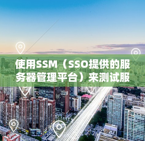 使用SSM（SSO提供的服务器管理平台）来测试服务器间连接和负载能力是一个有效的实践。以下是一个有条理的步骤指南，帮助您系统地进行测试