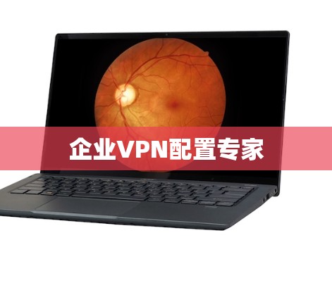 企业VPN配置专家