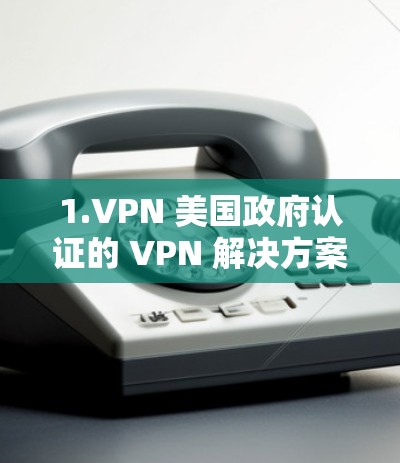 1.VPN 美国政府认证的 VPN 解决方案