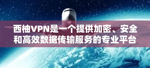 西柚VPN是一个提供加密、安全和高效数据传输服务的专业平台，帮助用户保护隐私和数据安全。以下是其主要功能的详细总结