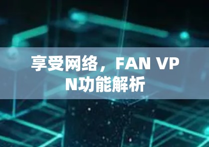 享受网络,FAN VPN功能解析