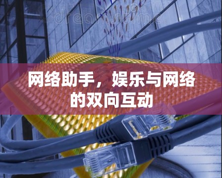 网络助手,娱乐与网络的双向互动