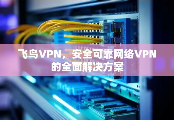 飞鸟VPN,安全可靠网络VPN的全面解决方案