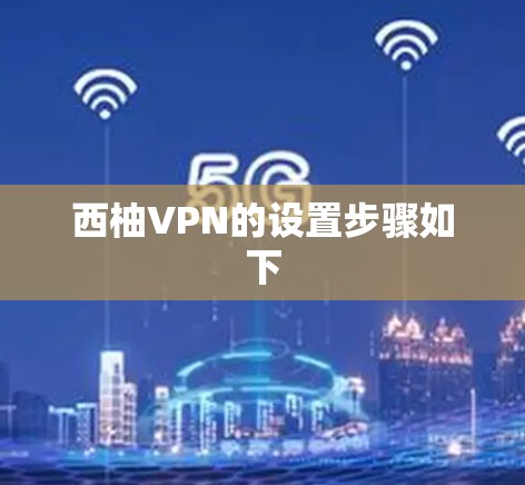西柚VPN的设置步骤如下