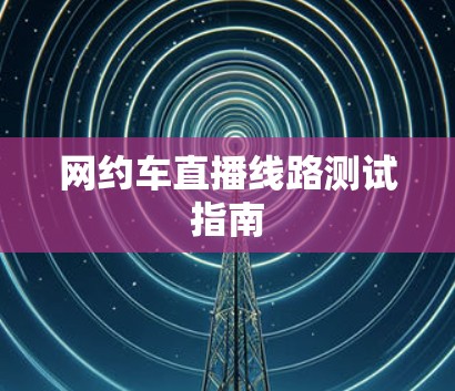 网约车直播线路测试指南