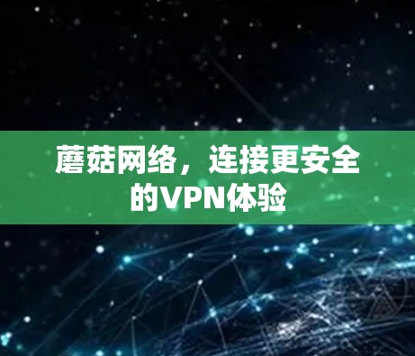 蘑菇网络，连接更安全的VPN体验