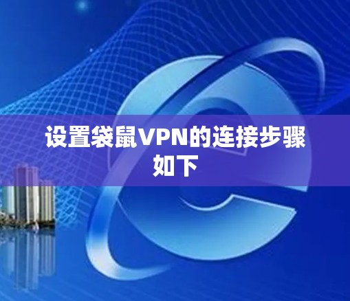 设置袋鼠VPN的连接步骤如下