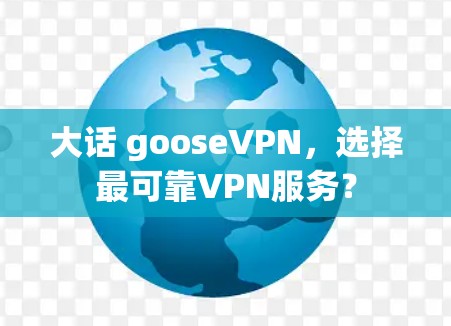 大话 gooseVPN,选择最可靠VPN服务?
