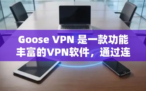 Goose VPN 是一款功能丰富的VPN软件,通过连接到云服务器来访问远程资源,如文件、网页和设备。以下是其主要功能的详细介绍