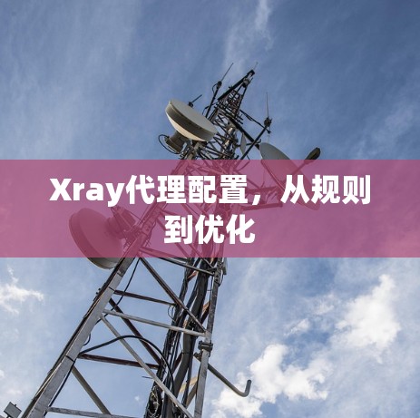 Xray代理配置,从规则到优化