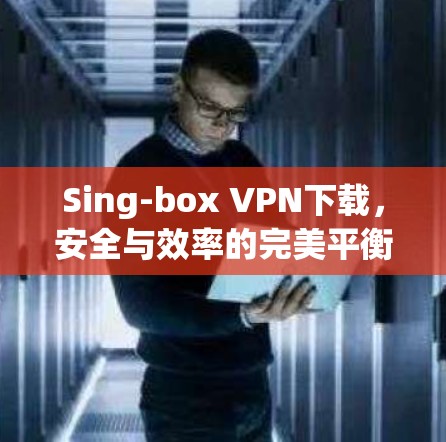 Sing-box VPN下载,安全与效率的完美平衡