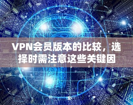 VPN会员版本的比较,选择时需注意这些关键因素
