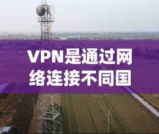 VPN是通过网络连接不同国家或地区的网站,广泛用于远程办公、远程学习和娱乐。然而,国外的VPN存在多种类型,包括国际性、国内性和国际性网站。以下是一个系统的学习指南,帮助您正确使用 VPN
